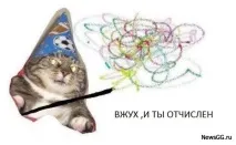 Вжух кіт мем кота