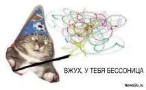 Вжух кіт мем мани