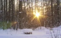 Обертання полотна у фотошопі фотошопі