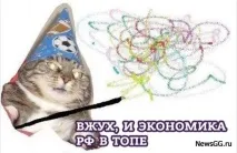 Вжух кіт мем мани