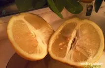 себе