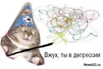 Вжух кіт мем кота