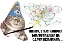 Вжух кіт мем кота