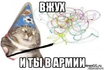 Вжух кіт мем кота