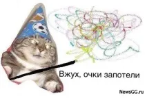 Вжух кіт мем кота