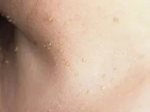 правя какво