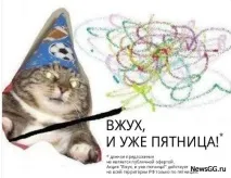 Вжух кіт мем кота