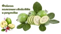 Фейхоа корисні властивості на властивості