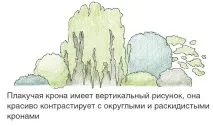 форма