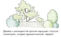 форма