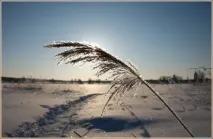 фотографуємо