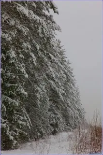 фотографуємо