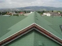 херпес херпес