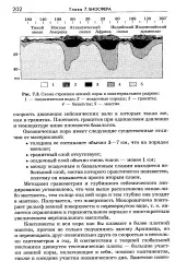 звучене голяма