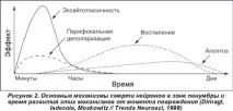 Глутамат, Розгін Мозку, CleverMindRu глутамат