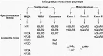 Глутамат, Розгін Мозку, CleverMindRu clevermindru