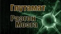 Глутамат, Розгін Мозку, CleverMindRu розгін