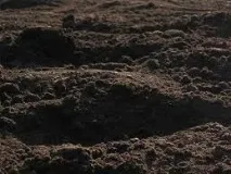 класификация оценки