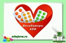кръвоносните съдове популярните