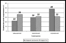 інтерпретація
