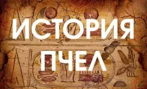 Які були бджоли в давнину? бджоли