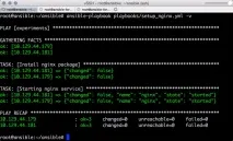 ansible книга игри