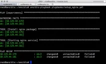 ansible отстраняване грешки