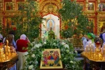 обществото билки