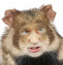 Путін