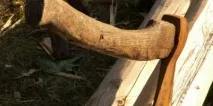 Як ловили чорних лісорубів в Ульянівську ульянівську