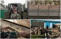 черни черни