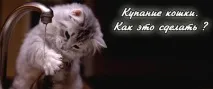 коса коса