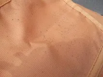 плесента дрехите плесента