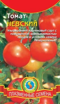 пасинки