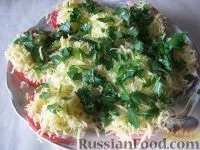 Холодні закуски, Салати, З фото, Страви з помідорів, рецепти з фото на 323 рецепти фото