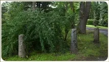 хроники избягали