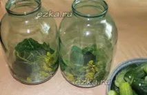 Хрусткі мариновані огірки на зиму огірки