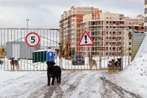 Ювелірне банкрутство мережі «Яшма золото» – ВІДОМОСТІ відомості
