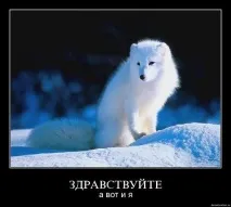 Як зберегти індивідуальність, як виразити сильні емоції в тексті. зберегти