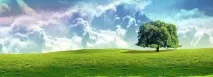 хипертоничен разтвор забравени