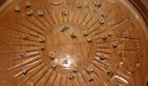 домати засаждаме
