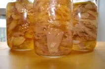 прави дома