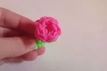 ластици цвете