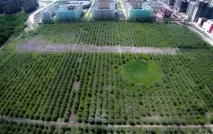 Як вкрасти ділянки землі і не сісти у в’язницю - Воронежа і області ділянки