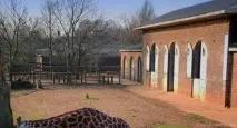 снимки вмъкнете
