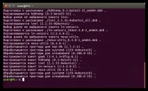 Linux