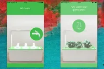 Як виростити суницю, базилік та помідори за допомогою iPhone (розумний сад Click and Grow) суницю