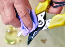 Як зберігати секатор взимку зберігати