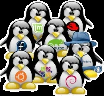 Linux
