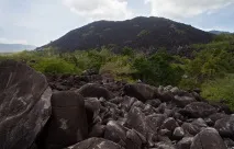 калкаджака